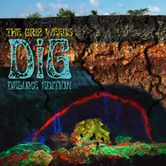 DiG (Deluxe Edition) by The Grip Weeds album reviews, ratings, credits