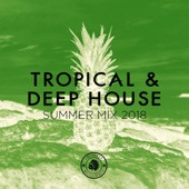 Tropical & Deep House: Summer Mix 2018 artwork