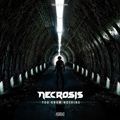 You Know Nothing - Single - Necrosis