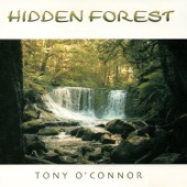 Hidden Forest artwork