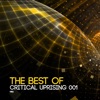 The Best of Critical Uprising 001