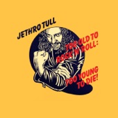 Jethro Tull - Crazed Institution (2002 Remaster)