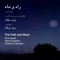 Solo Santour (feat. Alireza Geranfar) - Sina Sarlak, Navid Dehghan & Ghamar Ensemble lyrics
