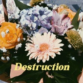 Destruction artwork