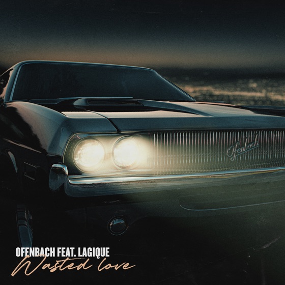 Cover artwork for Wasted Love (feat. Lagique)