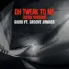 Oh Tweak to Me (Gaudi Version) [feat. Groove Armada] - Single album lyrics, reviews, download