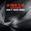 Stream & download Oh Tweak to Me (Gaudi Version) [feat. Groove Armada] - Single