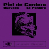 Piel de Cordero artwork