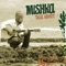 Homegrown (feat. Willie Nelson) - Mishka lyrics