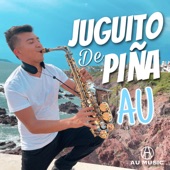 Juguito de Piña artwork