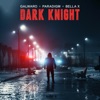 Dark Knight - Single