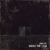 Break the Cage artwork