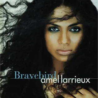 ladda ner album Amel Larrieux - Bravebird