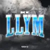 LLYM - Single album lyrics, reviews, download