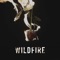 Wildfire - In Vice Versa lyrics
