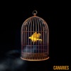 Canaries - Single