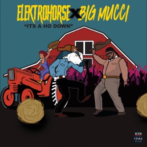 Elektrohorse & Big Mucci - It's a Ho Down - Line Dance Music