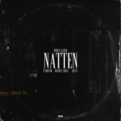 Natten (feat. Parham, Reyn & Michel Dida) artwork