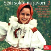 Sedí Sokol Na Javori 2 artwork