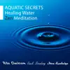 Aquatic Secrets: Healing Water Zen Meditation album lyrics, reviews, download