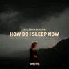 How Do I Sleep Now (feat. Olive) - Single album lyrics, reviews, download