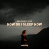 How Do I Sleep Now (feat. Olive) - Single