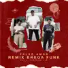 Falso Amor (Remix Brega Funk) - Single album lyrics, reviews, download