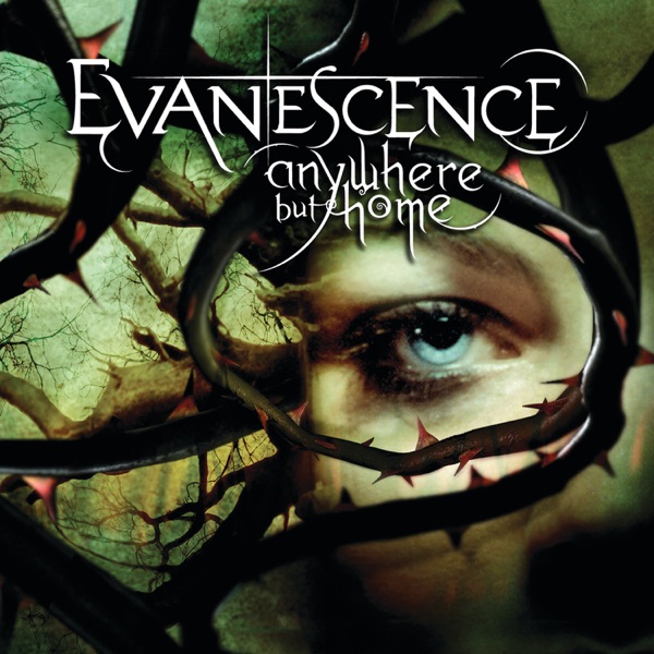 Anywhere but Home (Live) - Evanescence