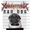 Bad Dog - Single