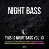 This is Night Bass: Vol. 13, 2021