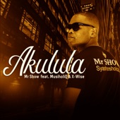 Akulula (feat. MusiholiQ & X-Wise) artwork