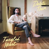 Dakota Theim - Like the Wind