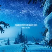 Dream of Winter (Radio Edit) artwork