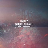 Where You Are (feat. Lizzy Land) artwork