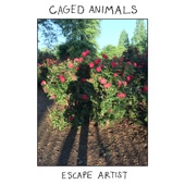 CAGED ANIMALS - Wildflowers