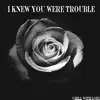 I Knew You Were Trouble - Single album lyrics, reviews, download