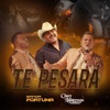 Te Pesará - Single