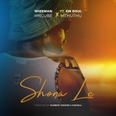 Shona Le (feat. Mthuthu & Em Soul) artwork