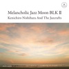 Kenichiro Nishihara - Music Meteorology