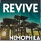 REVIVE artwork