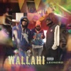 Wallahi - Single