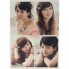 Sweety - 櫻花草