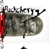 Buckcherry - Next 2 You