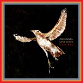 Aisha Badru - Mind on Fire (Franz Matthews Remix (Extended))