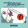 Birds (feat. Rick van der Linden & Ian Mosley & Jaap van Eik)