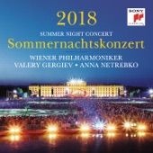 Sommernachtskonzert 2018 / Summer Night Concert 2018 artwork
