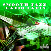 Smooth Jazz Radio Latin, Vol. 2 (Instrumental, Lounge Hotel And Bar, Latin Cafè) - Francesco Digilio