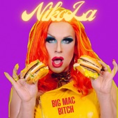 Big Mac Bitch artwork