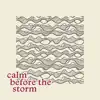 Calm Before the Storm - Single album lyrics, reviews, download