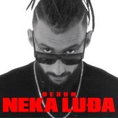 Neka Ludja artwork